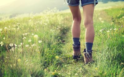 The 5 Most Likely Places You'll Get Lyme Disease